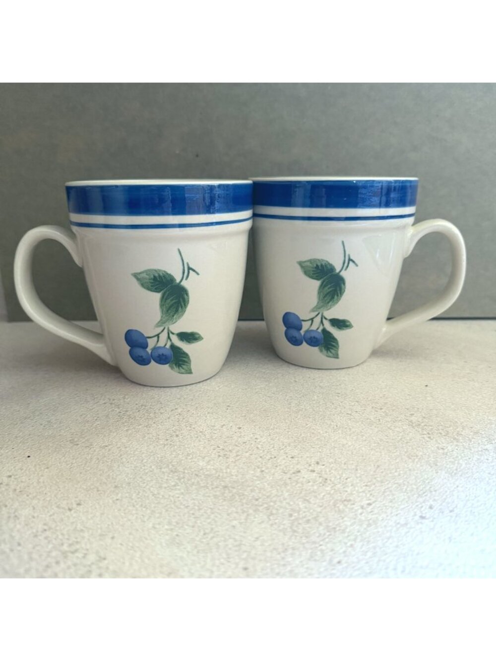 Vintage L.L. Bean Discontinued Blueberry Pattern 16.oz Coffee Mugs Ceramic Set/2